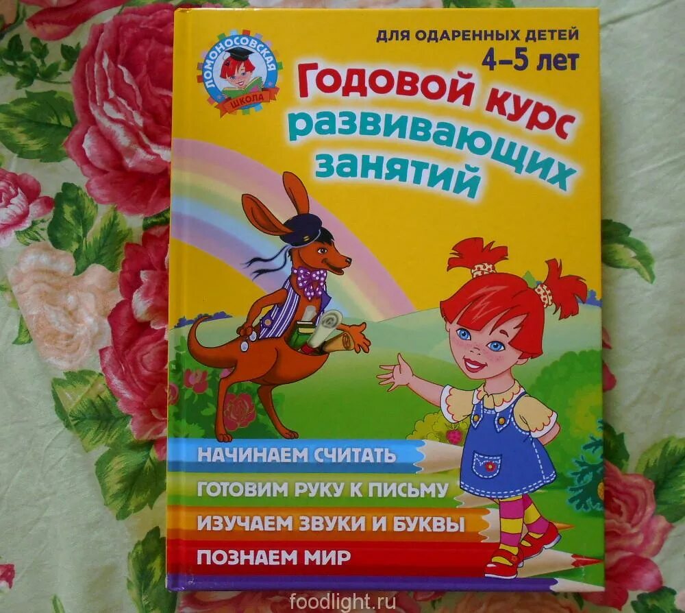 Ломоносовская школа учебное пособие. Ломоносовская школа пособия для детей 3-4. Годовой курс подготовки к школе: для детей 6-7 лет. Годовой курс подготовки к школе для детей 6-7 лет ломоносовская. Годовой курс занятий для детей 6 7 лет ломоносовская школа.