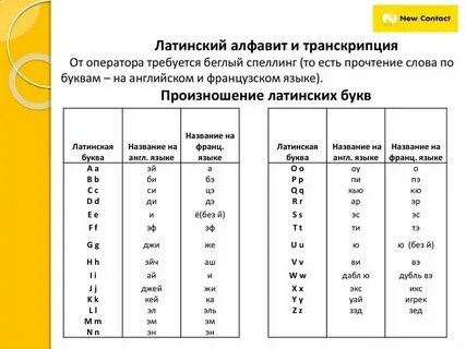 Как на латинском звучит слово книга
