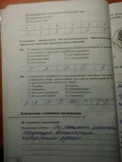 Тетрадь по биологии 8 класс сонин
