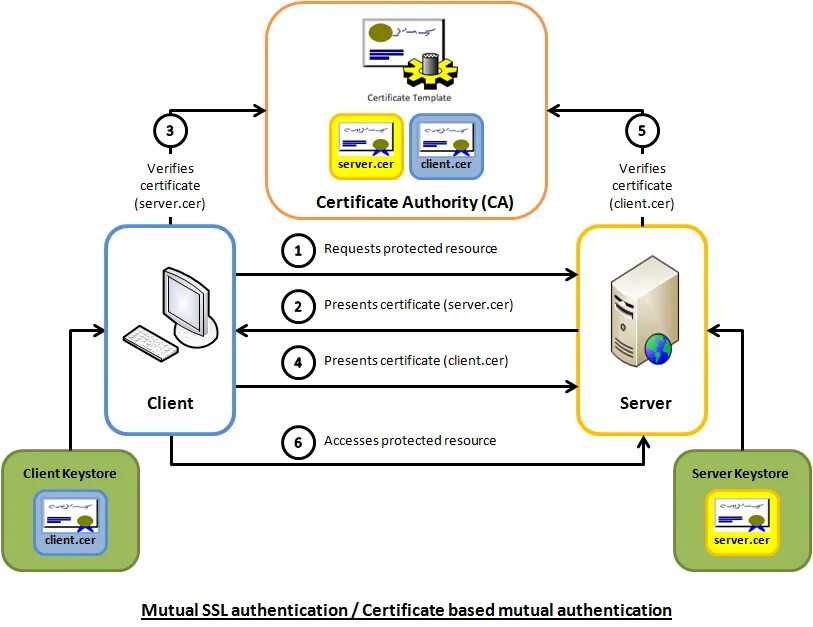 No server certificate verification method