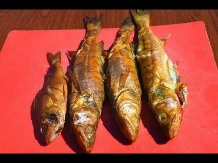 Горячее копчение рыбы щуки