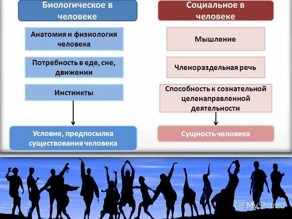 Биологическое и социальное в человеке. Биосоциадльнаяприрода человека. Социальная природа человека. Биологическая и социальная природа человека. Примеры биологического социального общения