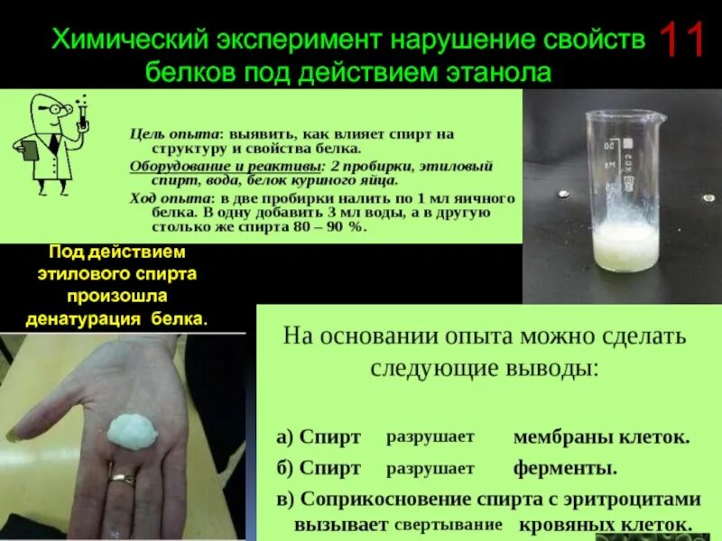 Инструкция химического опыта. Денатурация белка эксперимент. Денатурация белка опыт. Химический эксперимент слайд. Денатурация белка под воздействием этилового спирта