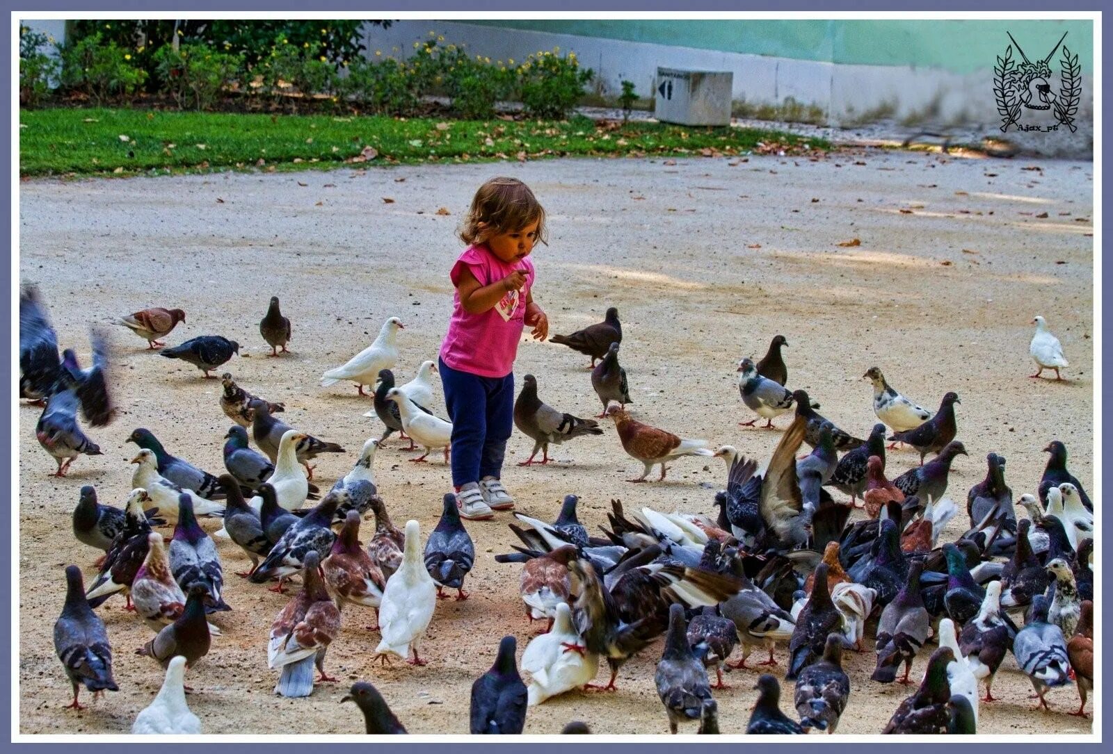 Birds children weather. Птицы для детей. Дети голубей. Птицы картинки для детей. Дети кормят голубей.