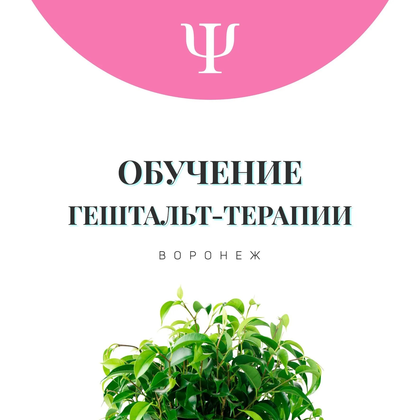 Путешествие в гештальт. Обучение гештальт-терапии. Гештальт терапия на тренингах. 1 Ступень гештальт терапии. Гельштат терапия обучение.