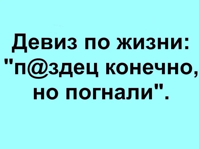 Смешные девизы по жизни смешные. Смешные девизы по жизни прикольные. Веселый девиз по жизни. Жизненный девиз смешной.