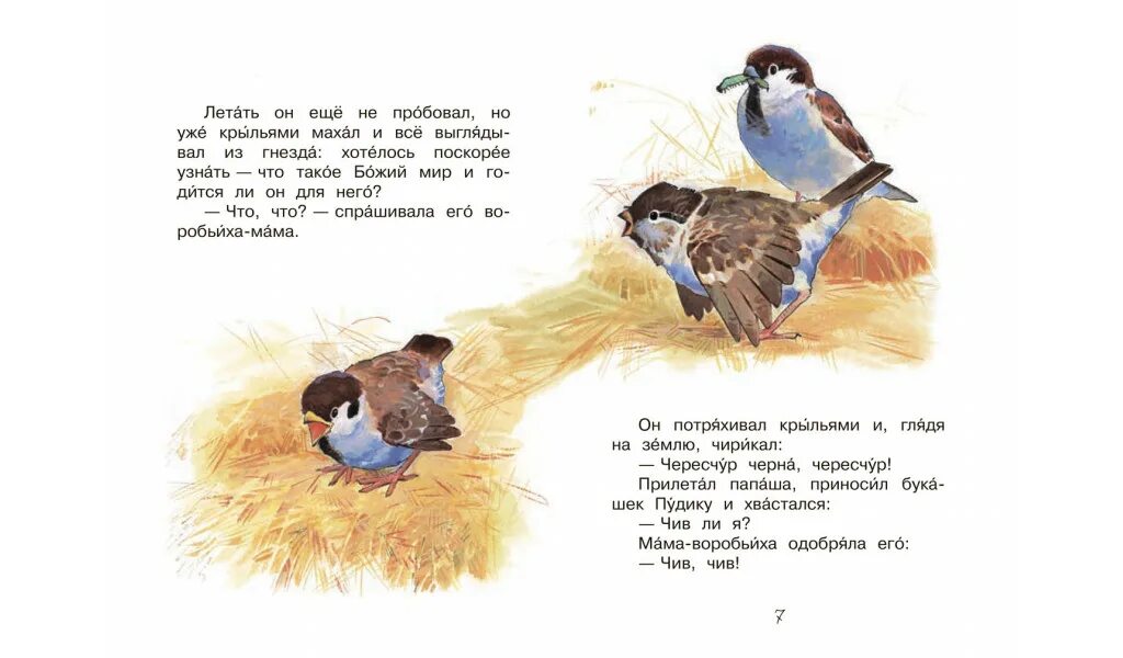 Горький стих Воробьишко. Воробьишко читать. Сказка про воробьишку зимняя.