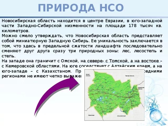 В какой природной зоне расположена новосибирская область