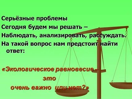 Равновесие среды