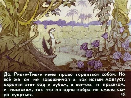 Как зовут соседку
