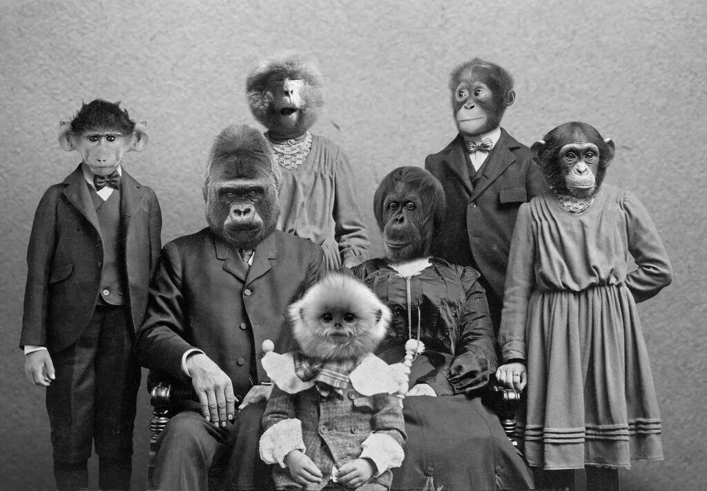 семейка аддамс: горящий тур мультфильм 2021. семейка аддамс сериал 1991. адамс семейка аддамс. странная семейка хикидзури. семейка аддамс кадры.