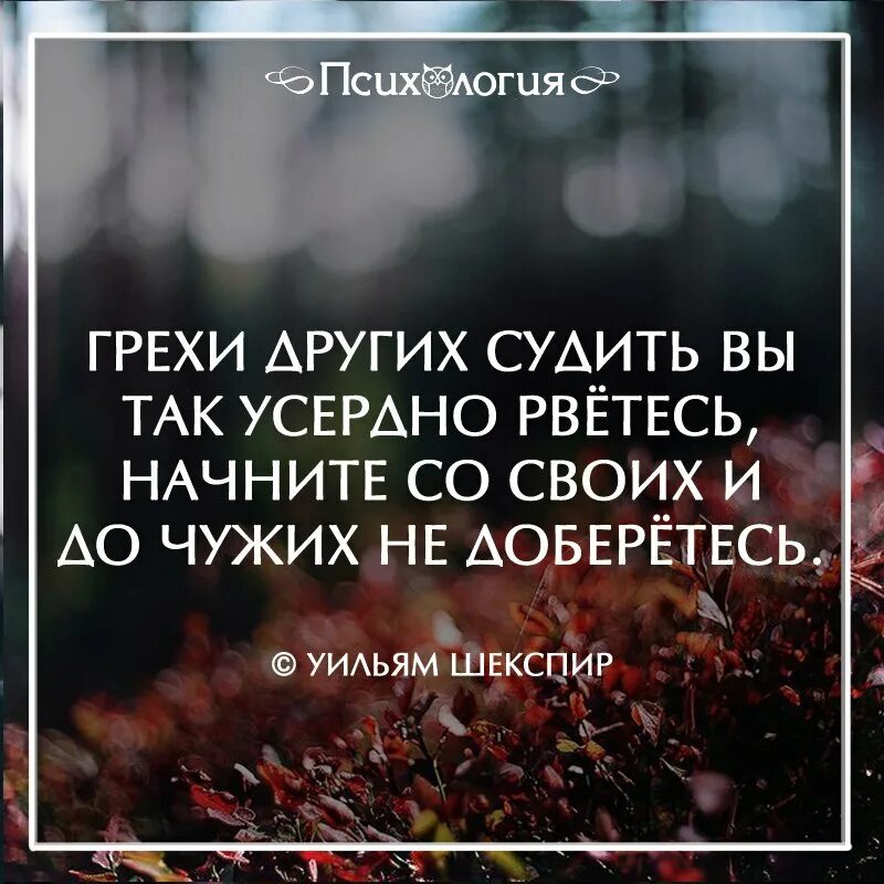 Если вы будете благодарны. Если нужен человек высказывания. Высказывания про уважение. Лучшие афоризмы. Хорошие цитаты.