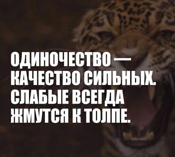 Одиночество качество сильных слабые. Одиночество качество сильных слабые всегда жмутся к толпе. Одиночество это выбор сильного человека. Слабые люди жмутся к толпе. Сильный слаб картинки