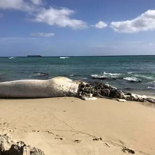 Death beach