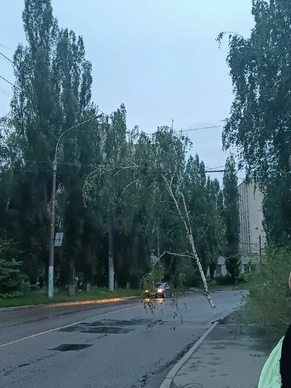 Воронеж улица генерала перхоровича 31д сады беловых. Милицейский дом на Перхоровича. Дождь в Воронеже сегодня. Движения дождя Воронеж. Антенны на Перхоровича поставили.