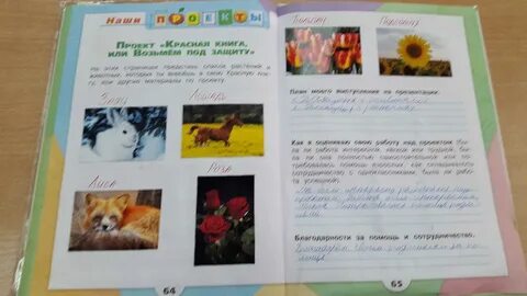 Защита проекта красная книга 2 класс