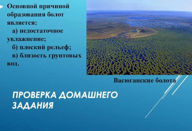 Что является основной причиной образования болот. Основные причины образования болот. основной причиной образования болот является. главная причина образования болот. факторы образования болот.