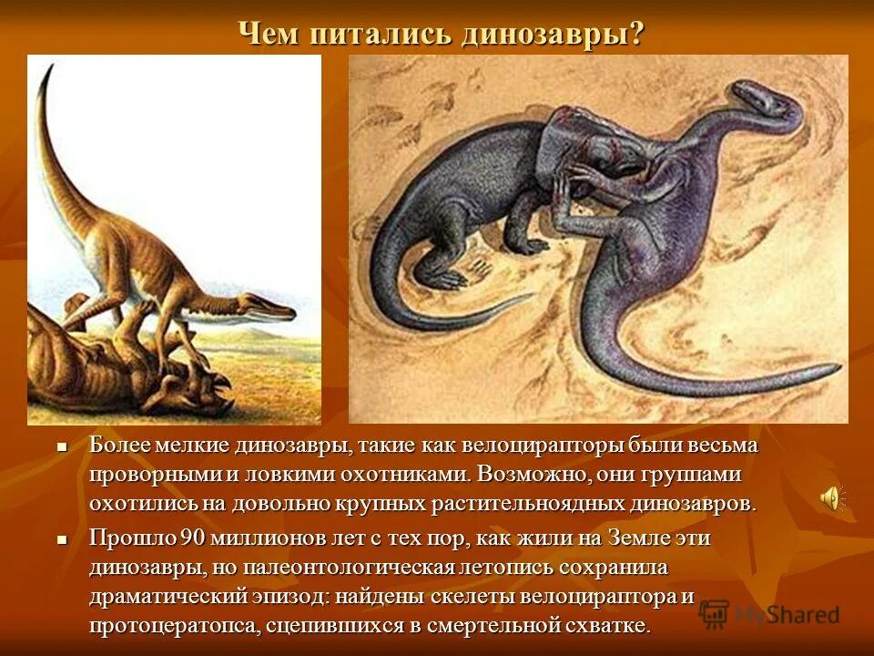 Чем питаются динозавры. Чем питались динозавры. интересные факты о динозаврах.