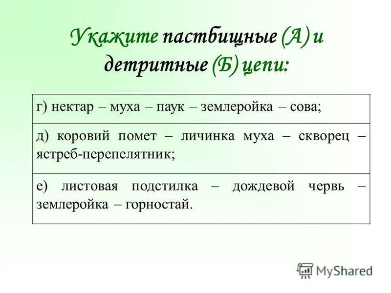 Пищевая цепь нектар муха