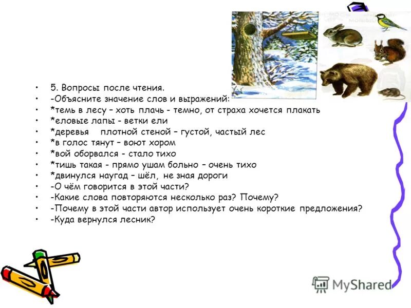 Заячьи следы. Предложение со словом леса. Восстановите последовательность предложений. Следы составить предложение. Предложение про зайцев.