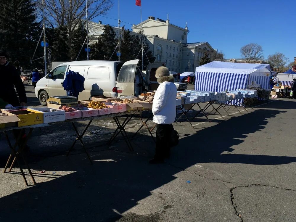 Саратов ярмарка на театральной площади декабрь 2022. Ярмарка саратов. Ярмарка на центральной площади города саратова. Сельхоз рынок саратов юбилейный. Ярмарка на театральной площади сегодня есть ли.
