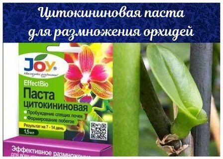 Паста для цветов