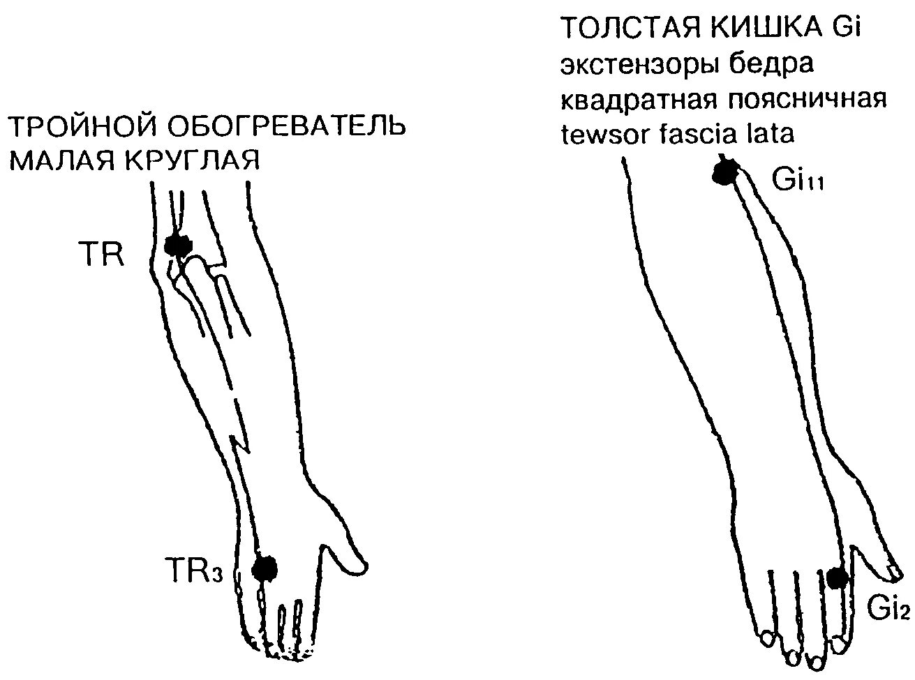 Точки меридиана тройного обогревателя 5. Меридиан тройного обогревателя точки. Седативные точки меридианов. Тонизирующие и седативные точки меридианов. Точка аккуратно