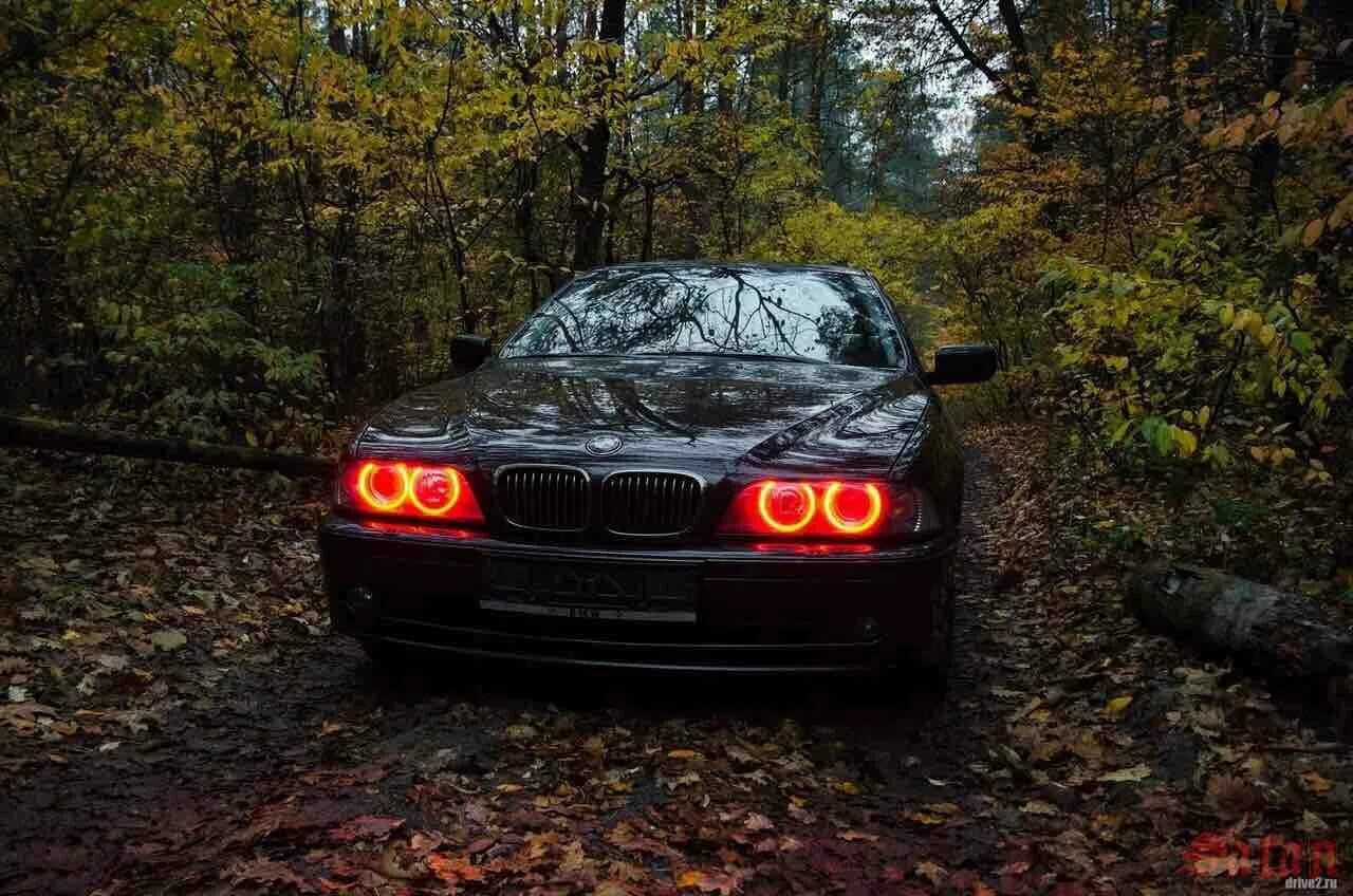 Компьютер бмв е39. Оранжевая бмв е39. бмв е39 бумер. bmw e39 оранжевая. бмв е39 злая.