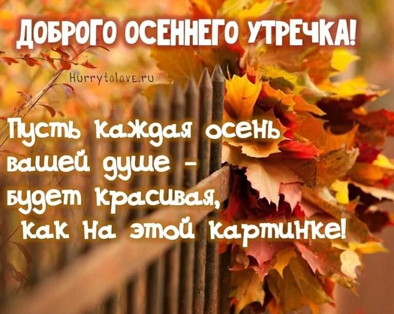 Пин на доске доброе утро Доброе утро, Утренние цитаты, Осень