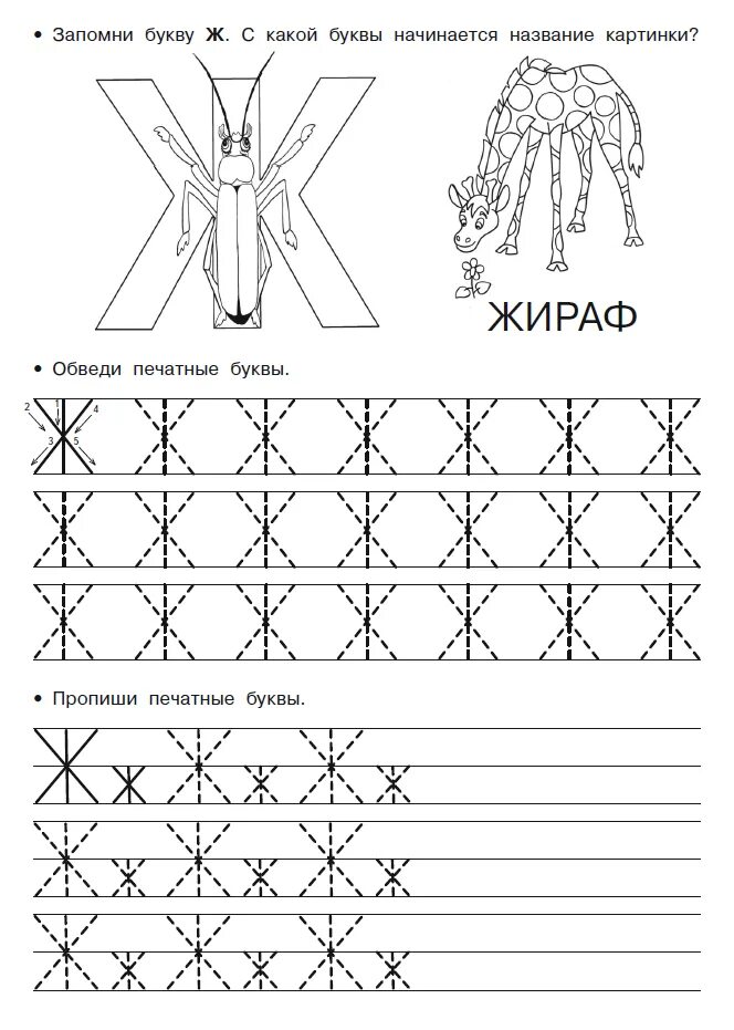 Пропись печатнойьуквы ж. Буква ж задания для дошкольников пропись. Буква ж печатная пропись для дошкольников. Буква ж задания для дошкольников штриховка.