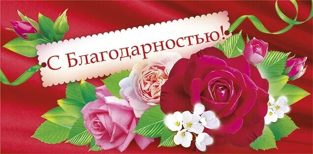 Благодарно принимать. Благодарность. С благодарностью и уважением. Открытки с благодарностью и с уважением. С благодарностью от.