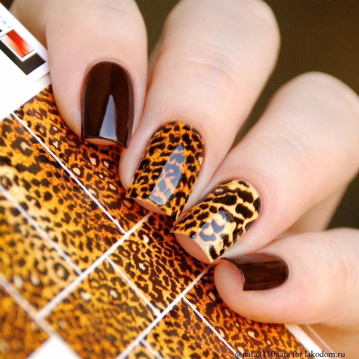 Леопардовый маникюр. Леопардовые ногти. Маникюр с леопардовым принтом. Ногти с тигровым принтом. Дизайн леопард на ногтях