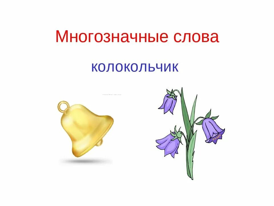 Колокольчик многозначное слово. Колокольчик омоним. Многозначные слова. Многозначные слова иллюстрации. Колокольчик по слогам