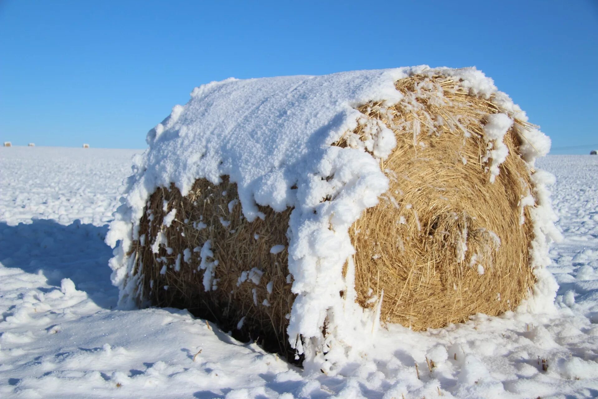 Снег сено