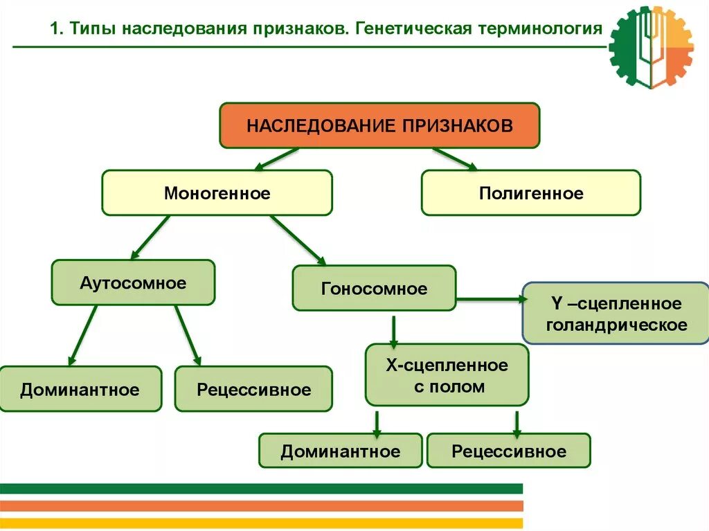 Характер и Тип наследования признаков. Основные типы наследования признаков. Типы наследования признаков таблица. 5 Типов наследования признаков. Информация о наследственных признаках