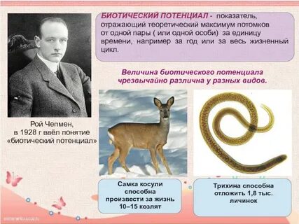 Биотический потенциал