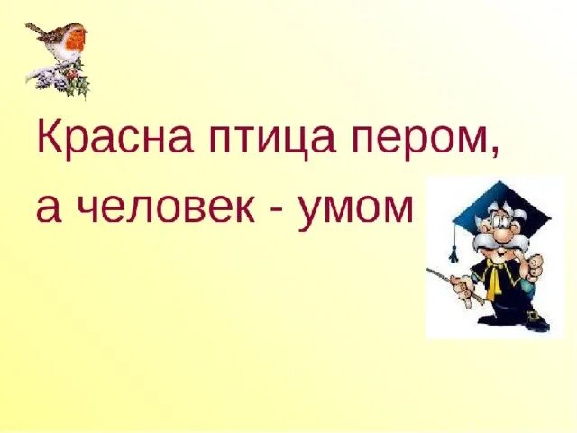 Красна птица пером а человек умом. Пословица красна птица пером а человек умом. Пословица красна птица пером. Красна птица пером а человек знаниями.