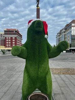 Ставрополь арт