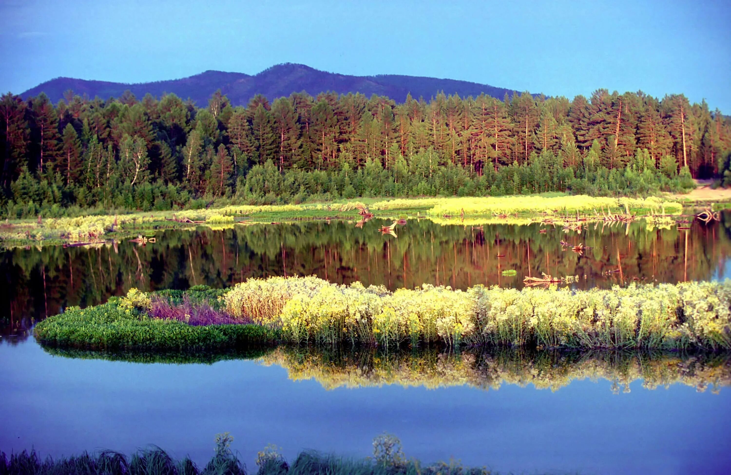 Природный парк Сибирские Увалы. Озеро Таежное Забайкальский край. Тайга Забайкалье. Таежные озера ХМАО. Сибирские увалы это горы
