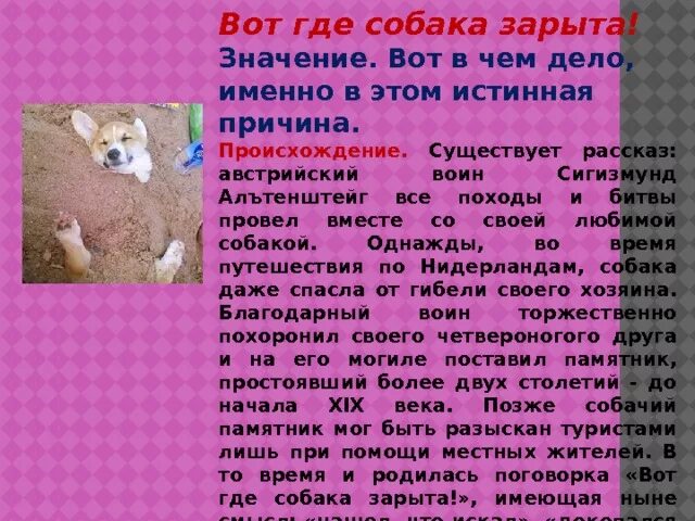 Wit что значит. Вот где собака зарыта. Кот где собака закрыта. Вот где собака зарыта фразеологизм. Собака зарыта фразеологизм.