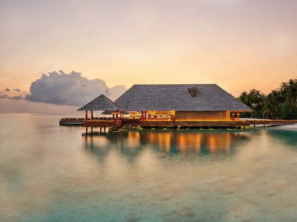 Joali being. Мальдивы Joali Maldives. Остров Джоли Мальдивы. Джоли отель Мальдивы. Мальдивы. Отель Joali being.