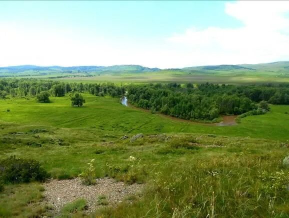 Ивановка курьинский район. Казанцево Алтайский край Курьинский район. Алтайский край Курьинский район село ручьёво. "Курьинский Кряж". Село Казанцево Курьинский район природа.