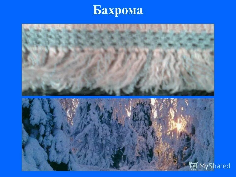 кисти кайма бахрома берёзы значение. кисти кайма бахрома значение. кисти кайма бахрома. кисти кайма бахрома значение. снежною каймой распустились кисти белой бахромой.