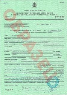 Срок порубочного билета