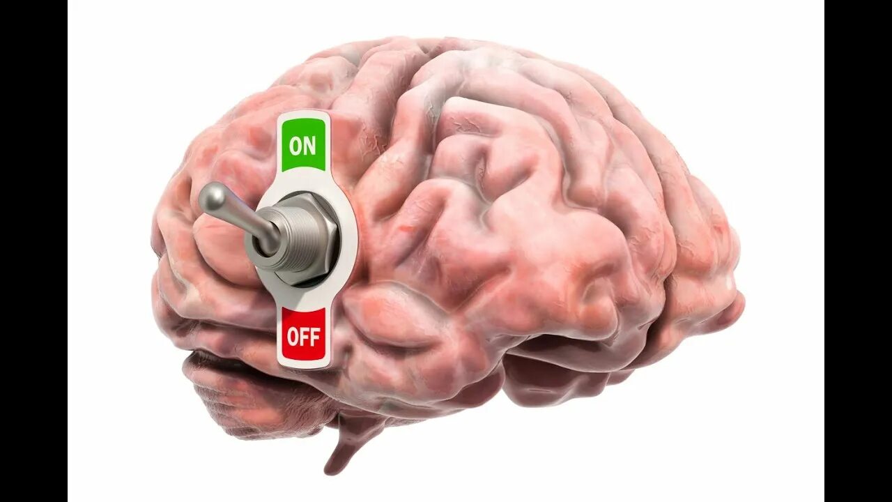 Brains off. Мозг рубильник. Мозг выключен. Мозг отключился. Выключатель мозга.