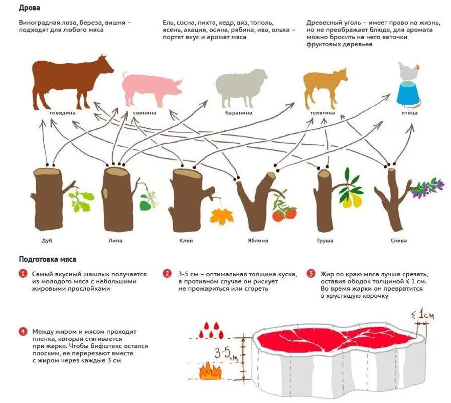 Инфографика приготовление шашлыка. Температура приготовления шашлыка. Мясо для шашлыка инфографика. Температура приготовления шашлыка из свинины. Сколько по времени готовится говядина