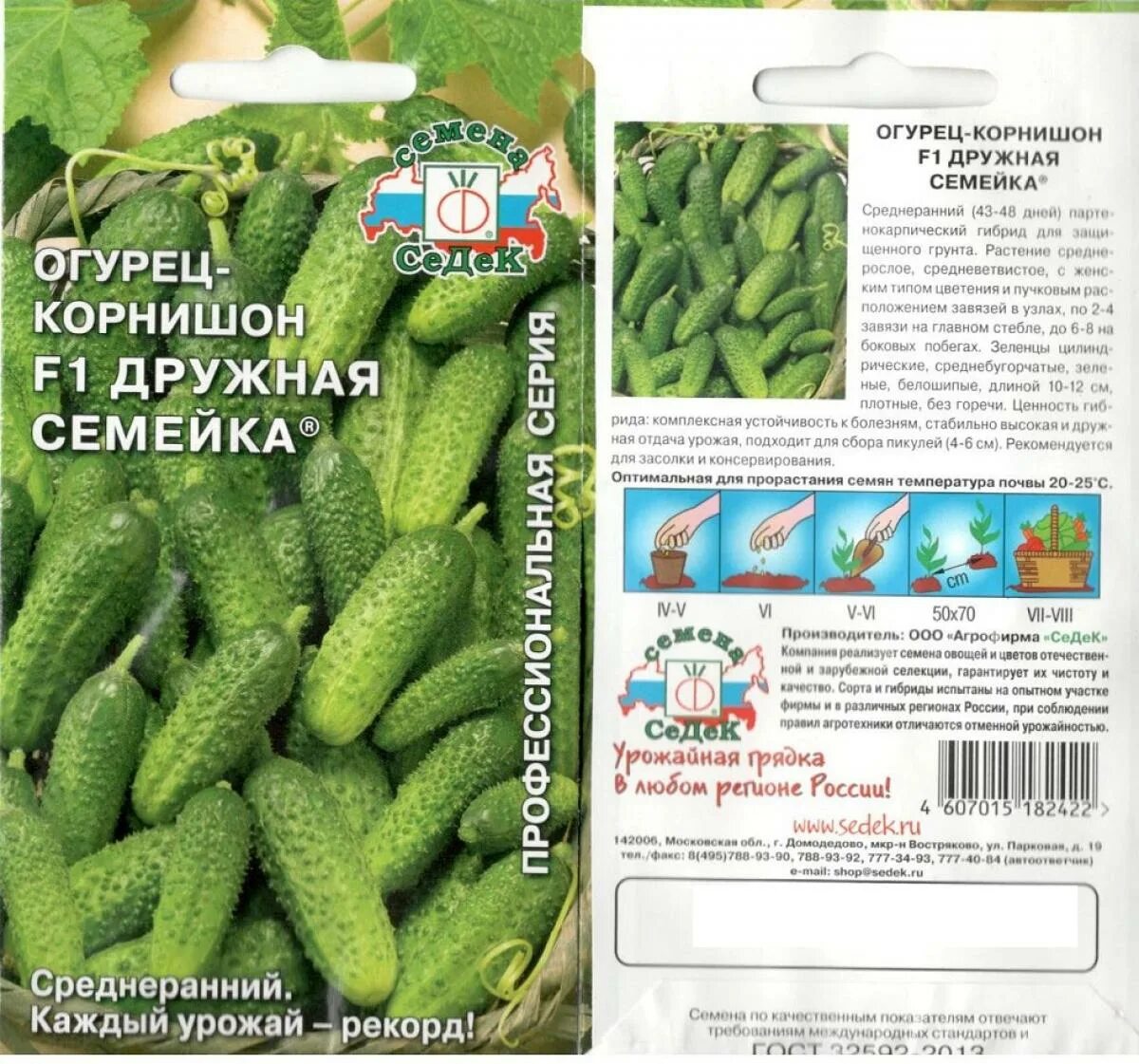 Огурцы Дружная семейка: характеристика и описание гибридного сорта с фото