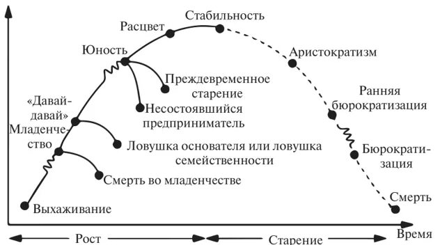 Модель жизненного цикла Ицхака Адизеса. Ицхак Адизес жизненный цикл организации. Теория жизненного цикла Адизеса. Стадии жизненного цикла по Адизесу. Цикл организации грейнера