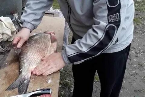 Сухой посол крупного леща