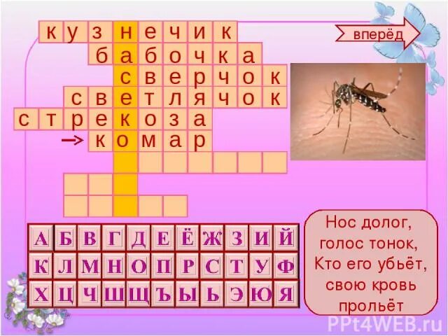 Тонкий голос 7 букв. Нос долог голос тонок. Голос тонок нос долог кто его убьет тот свою кровь прольет. Загадка нос долог голос тонок. Кроссворд насекомые.